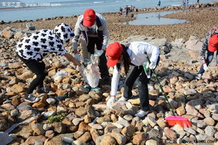 清洁沙滩公益活动文章